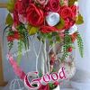 sailalalmahomed8
