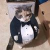 caticat098