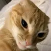 ansjsjbsnaam