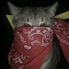 kia_rawwr21_4