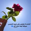 amm12aa1
