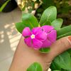 kokila8618
