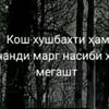 user9853882556133