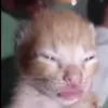hehehehehe000hehe