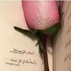 nooralhashimi515