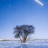 ali.hamza61202