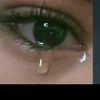 roxash555