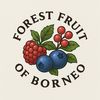 Forest fruit of BORNEO