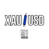 XAU / USD