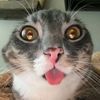 mineewr