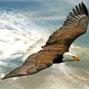 userzafwww7y76