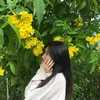 ilylynxx