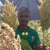 semhalmeng0901928674