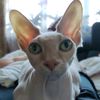 alana21fil