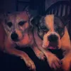 skye_ellie_broxi