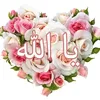 anor8.97
