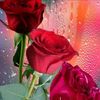 user5744811613709