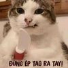 usernnwn89pioy