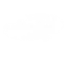 dshdfit