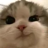 _changgiuoi_