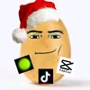 phitaly2
