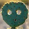 pricklesprickles