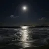 leeziijia_7