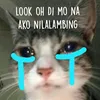 that.ghurl_jnine