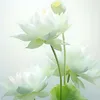 khungthuongfl