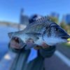 baileyfishing16