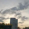 boss_vilkosos