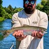 norcalflyfishing