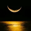 lunanera2023
