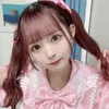 pibx_os