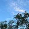 abcxyz1219_