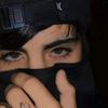 alosh8152