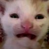 oudong_chan
