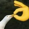 Thích gì làm nấy
