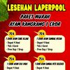lesehanlaperpool