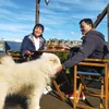nguyenhuy3979
