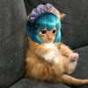 rexixixixixixixi