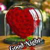 shaadiyo.sharaf