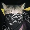 diphucc