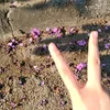 thuthu_anhthu0510