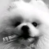 quick_slice0