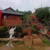 halinhloan5