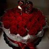 amolash152