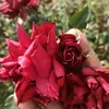 usern04cwict87