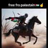 alpatih6555
