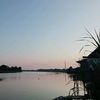 saffa_4u